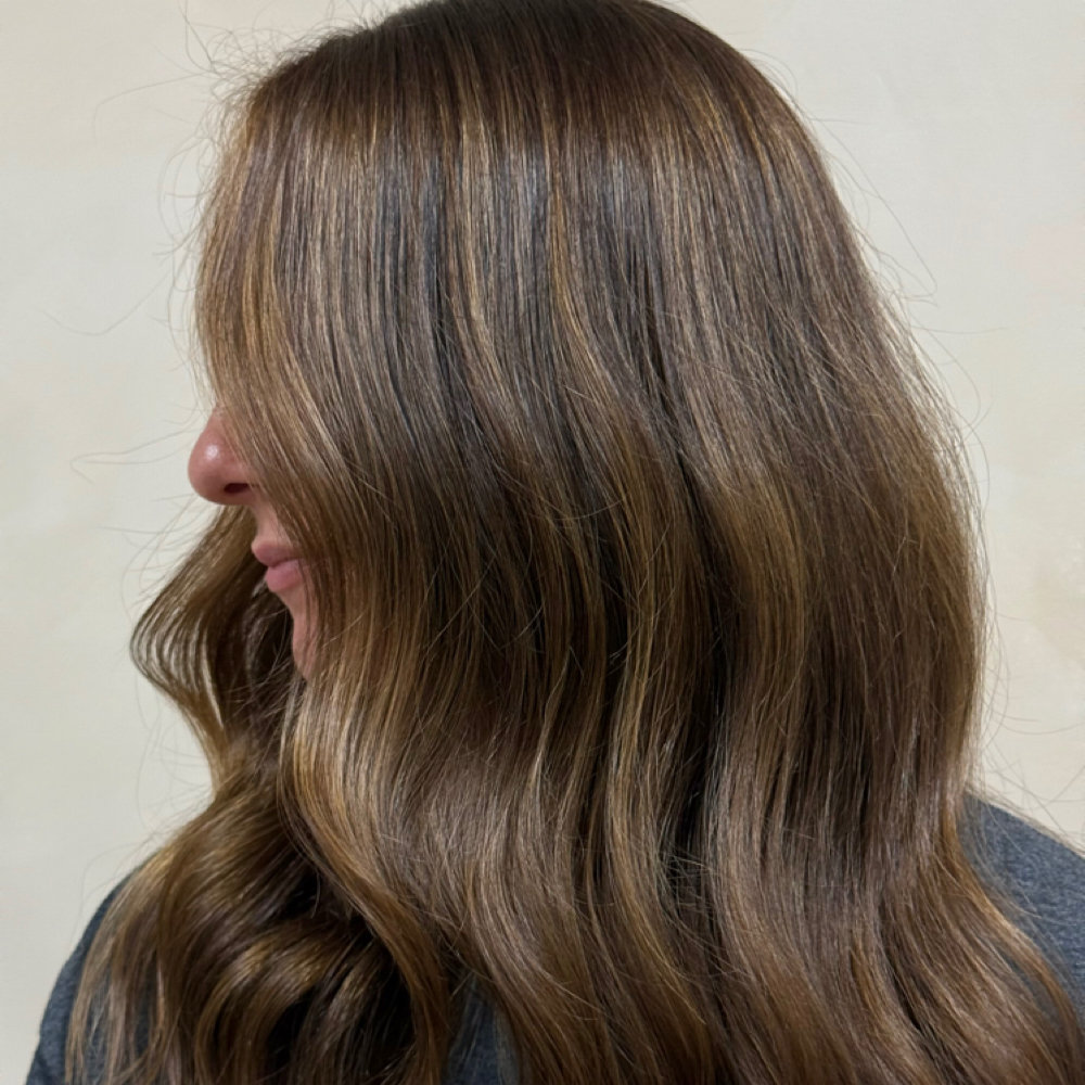 The Signature Brunette at Salón Yanni in Charlotte, NC