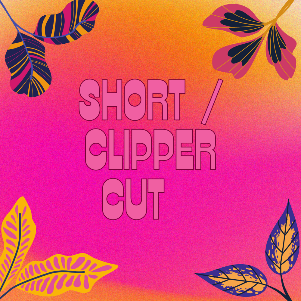 Short/Clipper Cut at Shianne Royal at Bloom Hair Studio in Enid, OK