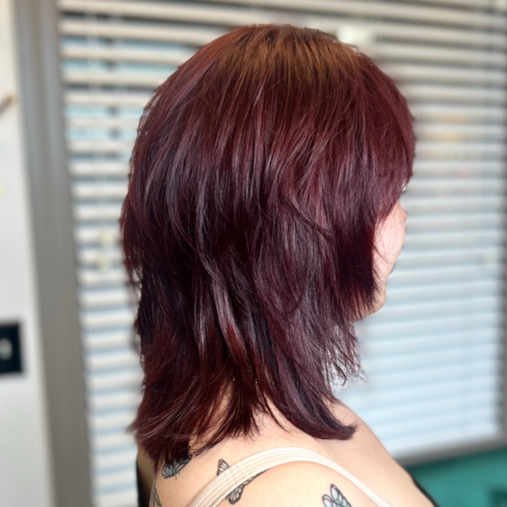 All-Over Color + Tone Defense at Hair By Sarah in Winston Salem, NC