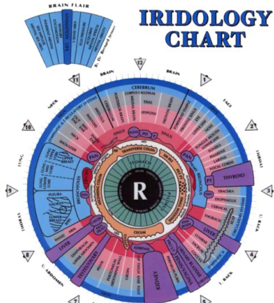 Iridology Evaluation