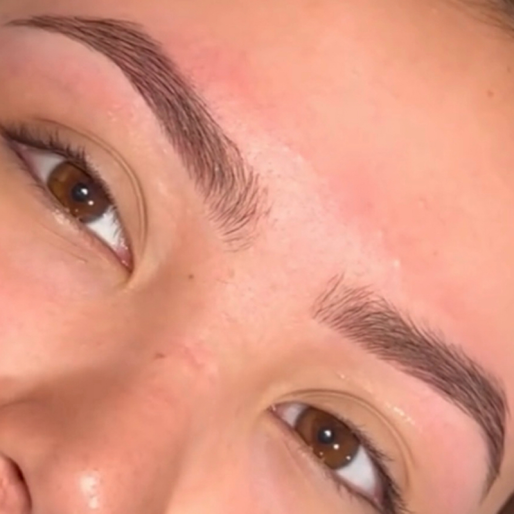 Eyebrow Wax & Tint at XclusiveBeauty in River Rouge, MI