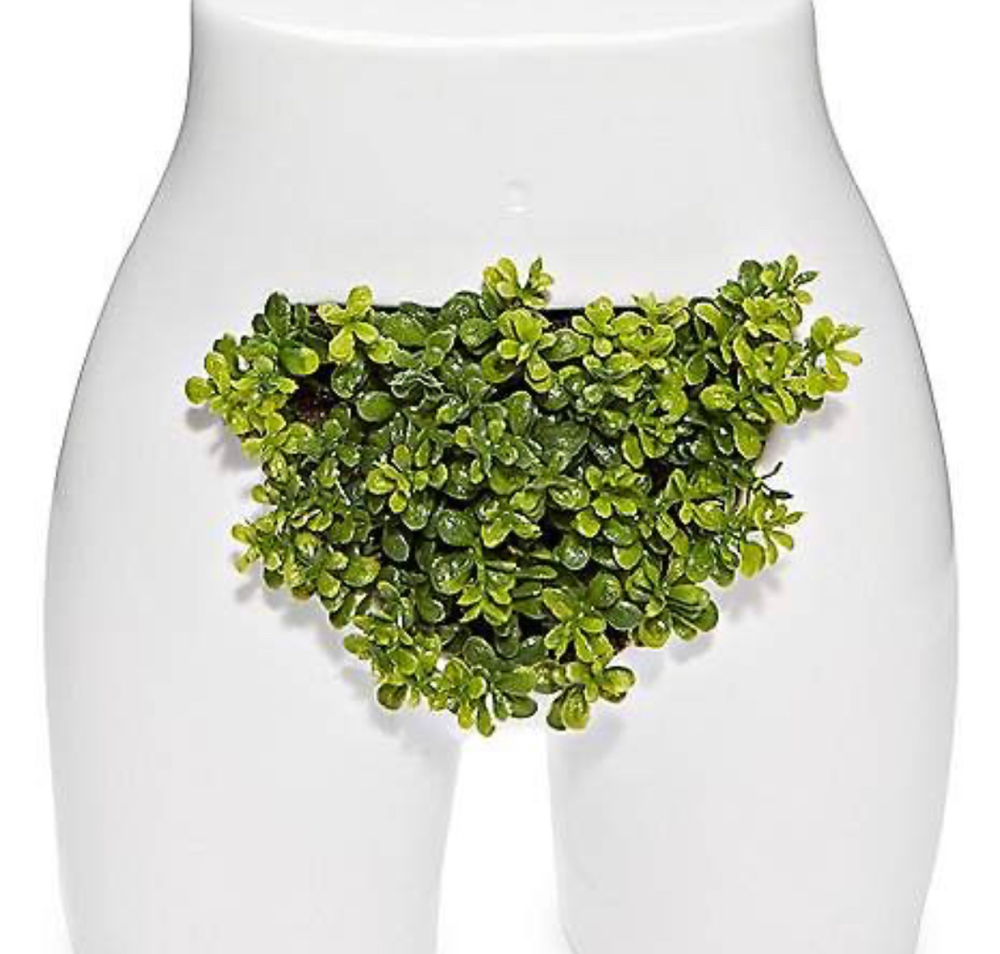 Brazilian (Vagina)