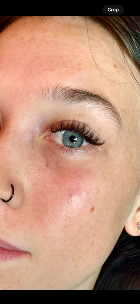 3 Week Lash Extension Fill