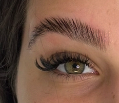 May Brow Lamination Design