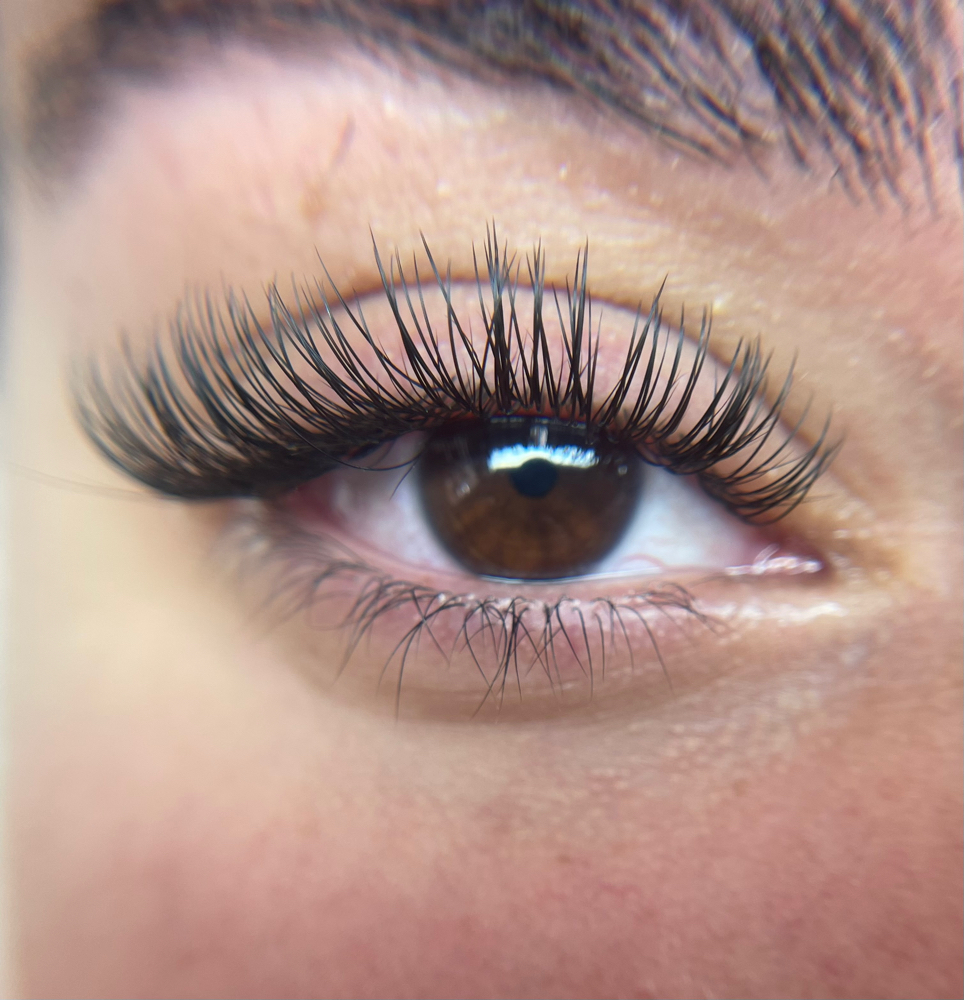 Pestañas Clasicas/Classic Lashes