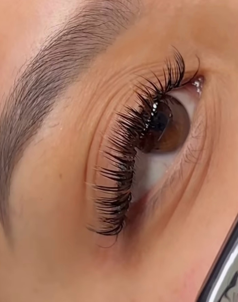 Wet Set 2-3 Week Fill
