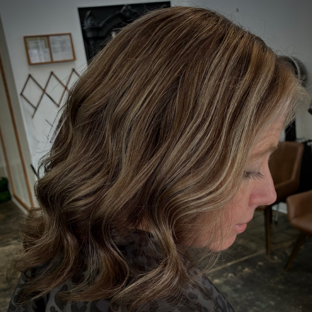 Shapoo And Style (non Event) at Exquisite Salon in harrison, AR