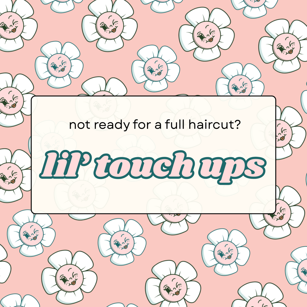 lil' touch ups