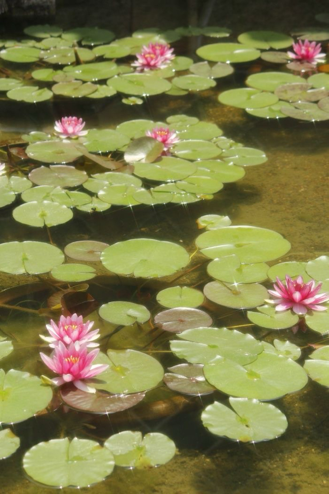 Sideburns at BÄRESOUL in Mechanicsburg, PA
