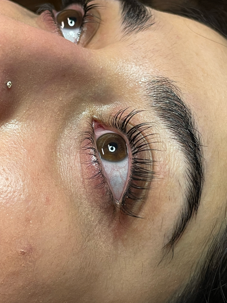 Lash Lift