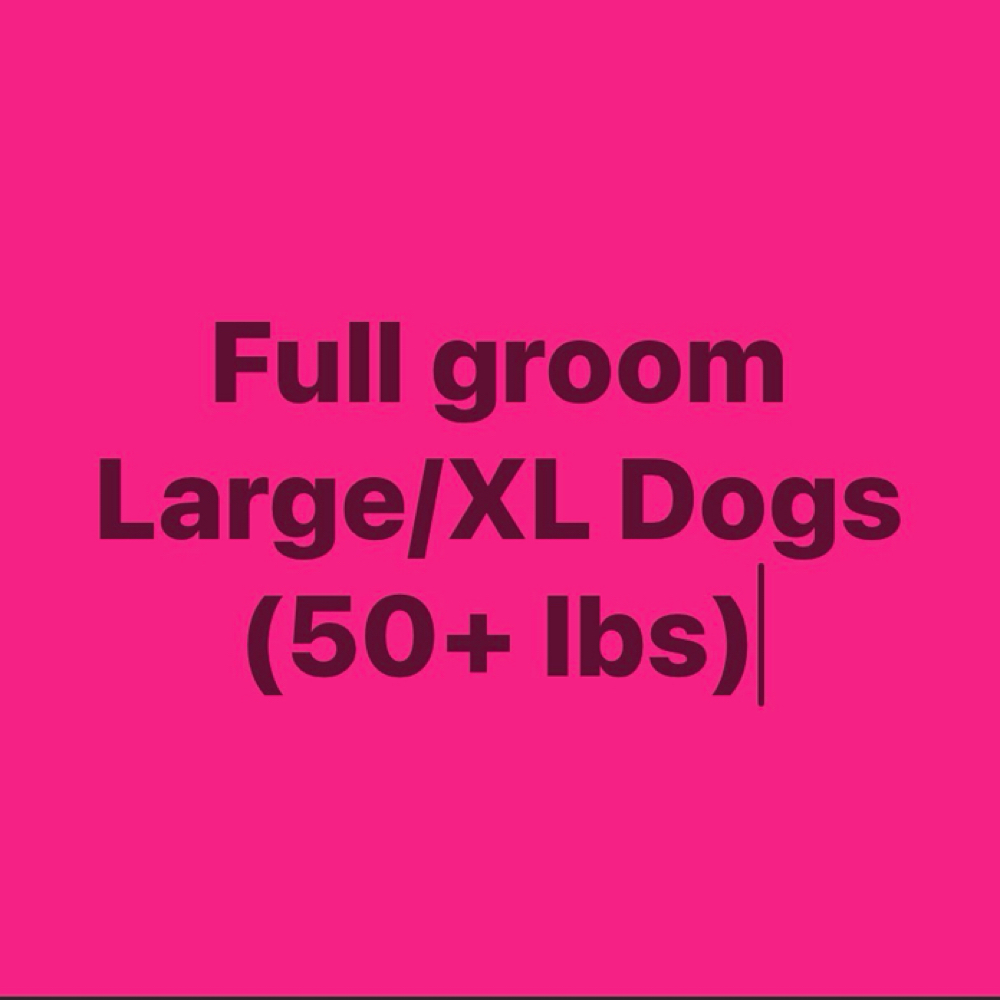 Full Groom-Large/XL (50+lbs) at Polished Pup in Larose, LA