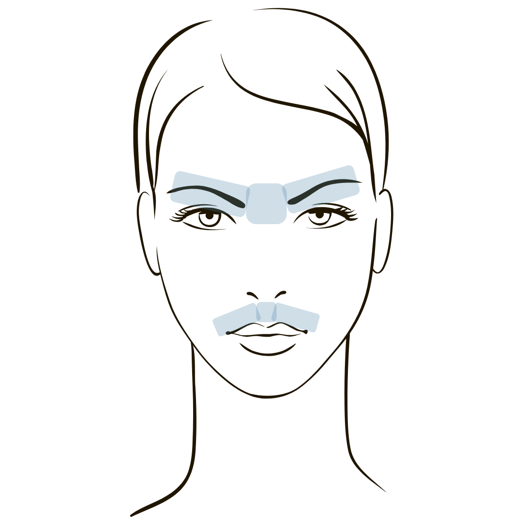 Student Brow + Lip