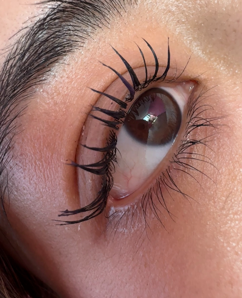 Lash Lift And Tint Combo at Dolled Up in Los Angeles, CA