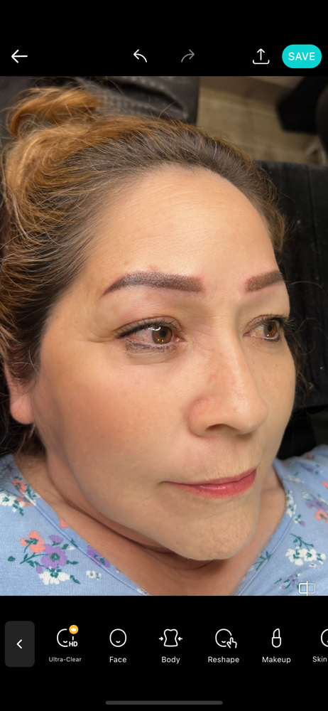 Correction Brows (Previous Brows)