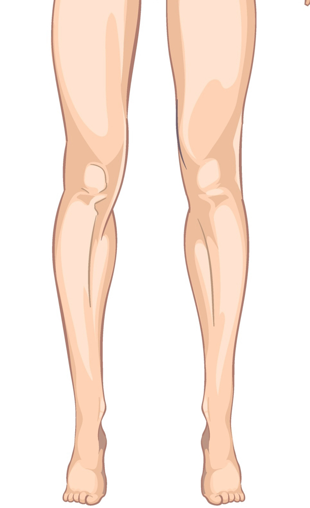 Legs (Full)