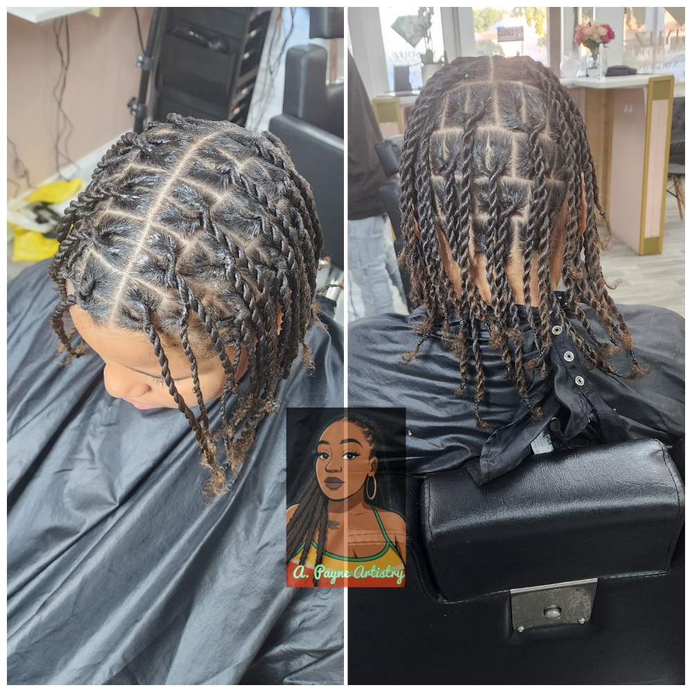 2 Strand Twists at Tanya Chamberlain in Stockton, CA