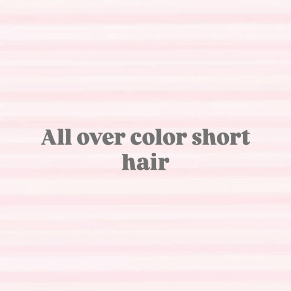 All Over Color - Short Hair at Hollywood Beach Salon & Spa in Oxnard, CA