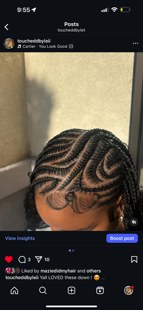 2 Part Fulani Braids