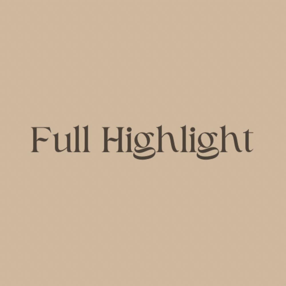 Full Highlight at The Bronze Beauty Collective in Covington, LA