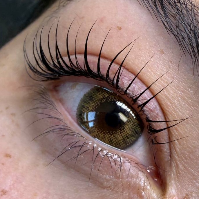 Lash Lift & Tint at Gingie Lashes & Brows in Buffalo Grove, IL