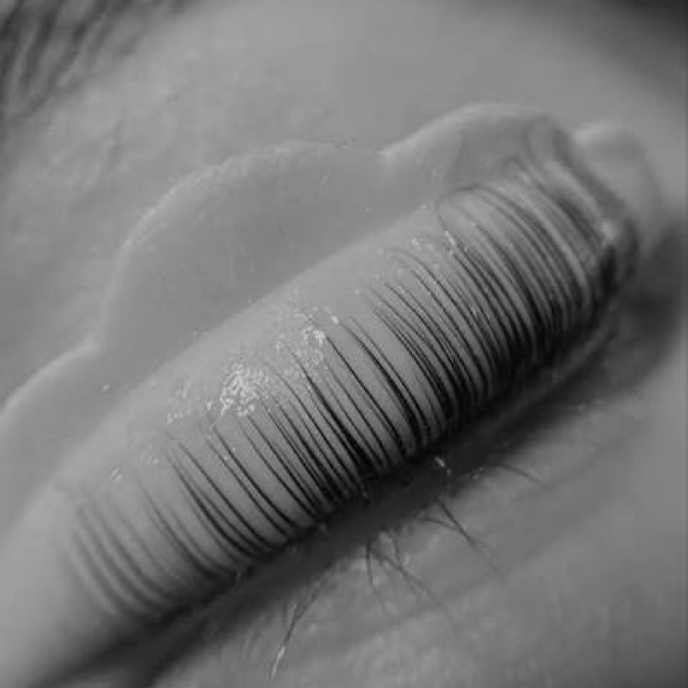 Lash Lift And Tint Options at the wax room in Wiggins, MS