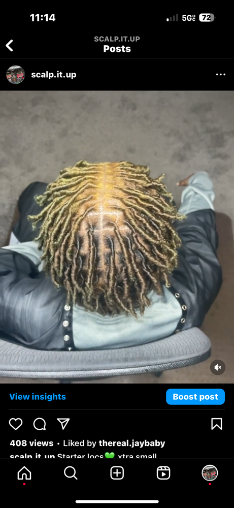 Starter Locs (Come Washed & Dried)