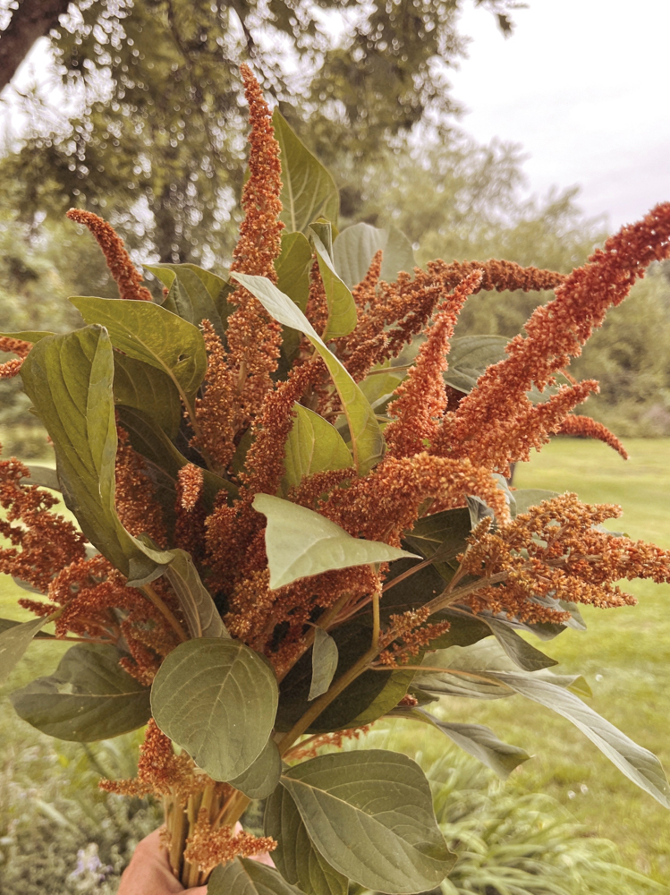Haircut at Jordan Eliza in Benton, ME