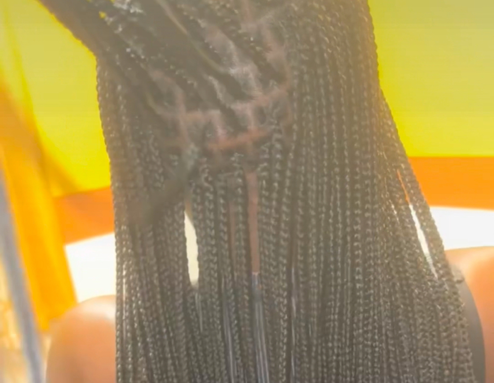 Small Knotless  Braids