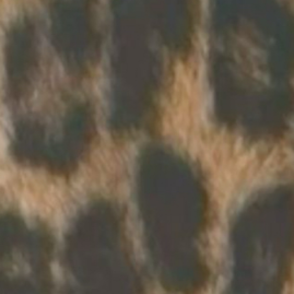 Builder-gel For Toes at SoHo Nail Lab in Fayetteville, NC