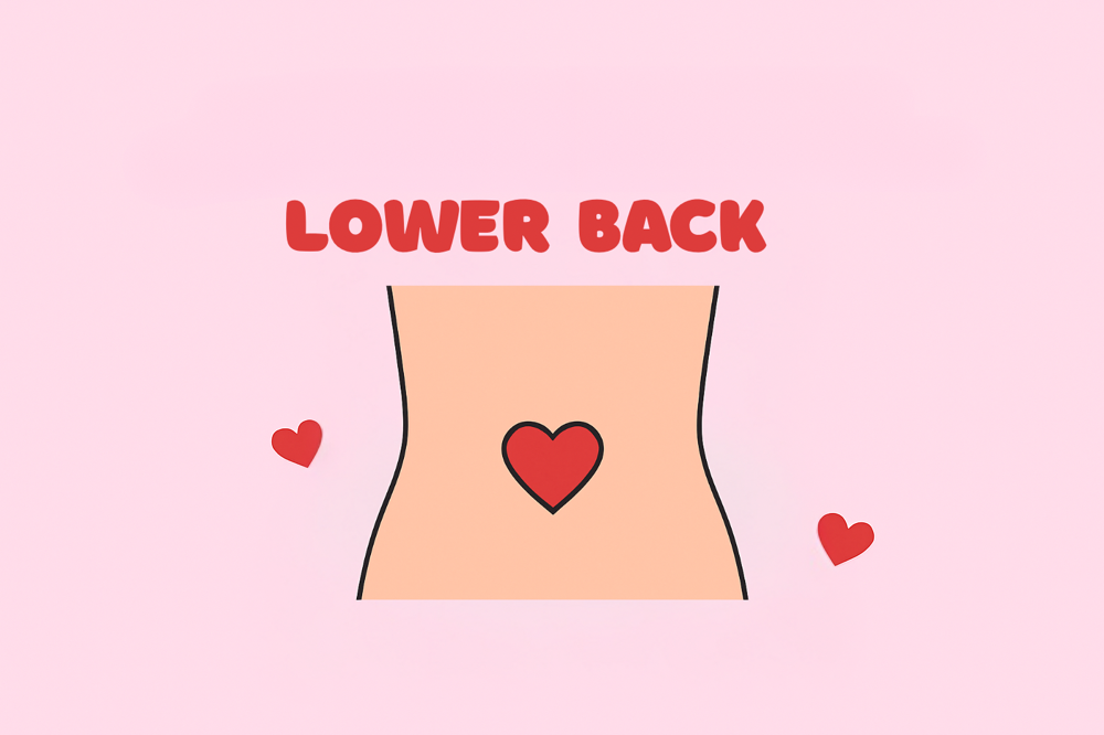 Lower Back