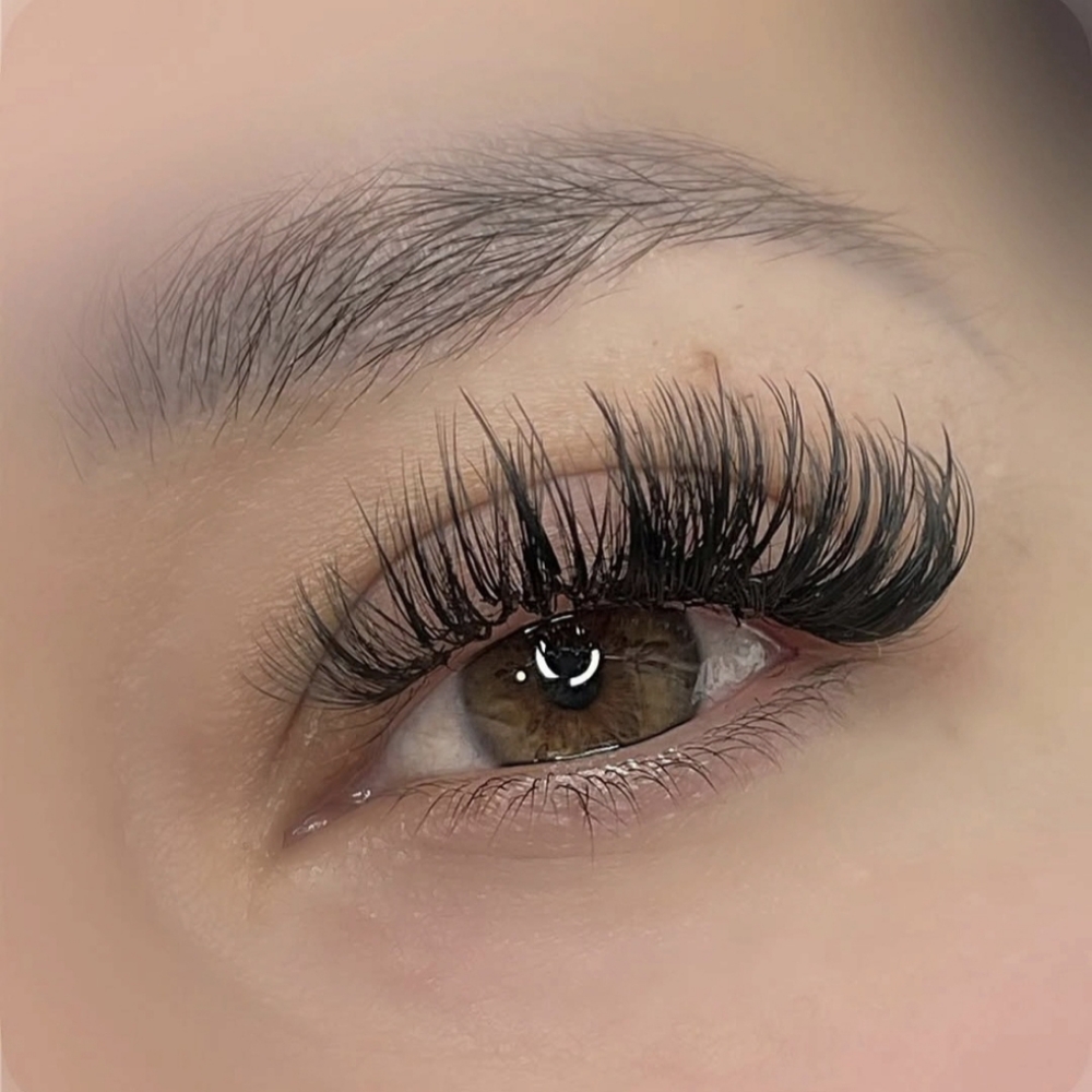 Wispy volume and Megavolume at Dream lashes and brows in Glendale, AZ