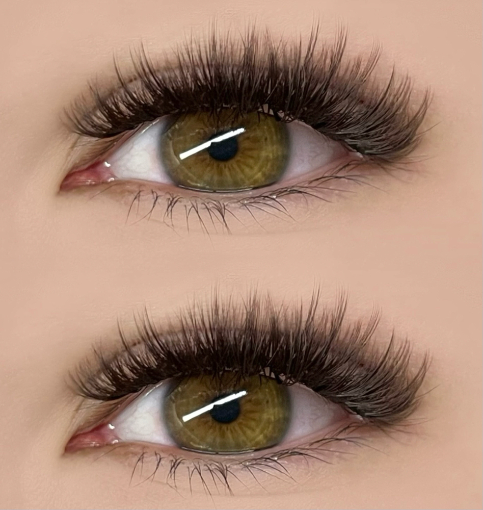 Signature Wispy Set - Brown