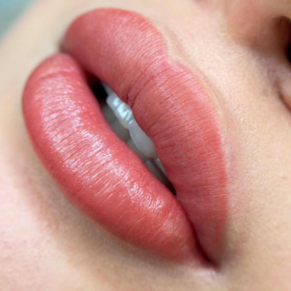 Lip Blushing at Revive PMU by Damla in Rochester, NY