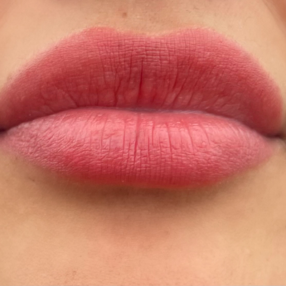 Lip Blush Refresh at INK & MANE Studio Loft in Austin, TX