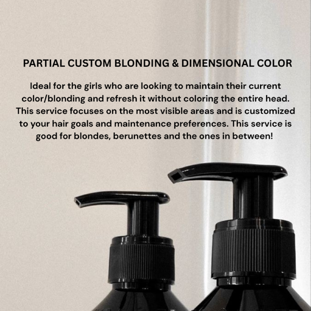 Partial Custom Color at Blond Era + Co in Tampa, FL