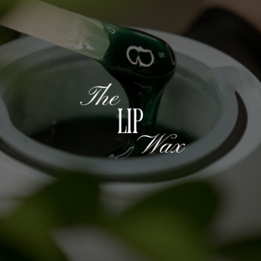 Lip Wax at Laney Beth Beauty in Franklin, TN
