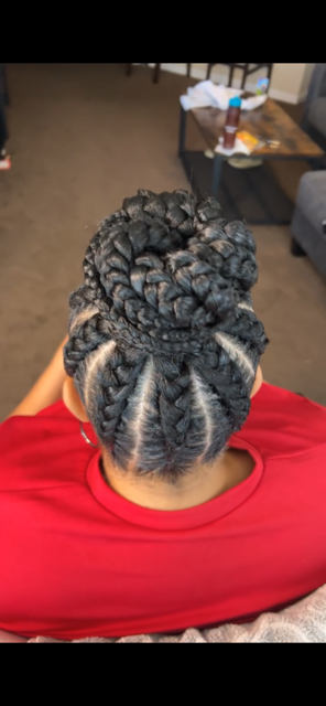 Braided Pony Tail