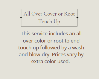 All Over Color or Root Touch Up