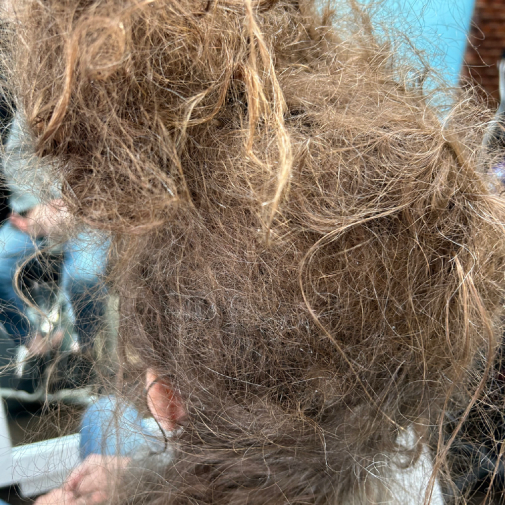 Matted Tangle Cut Off Hair Cut