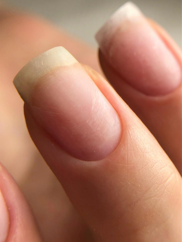 DARYA Manicure (no Polish)