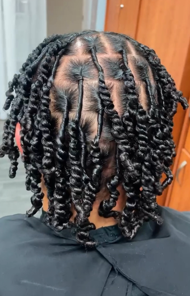 Starter Locs (2 Strand Method)