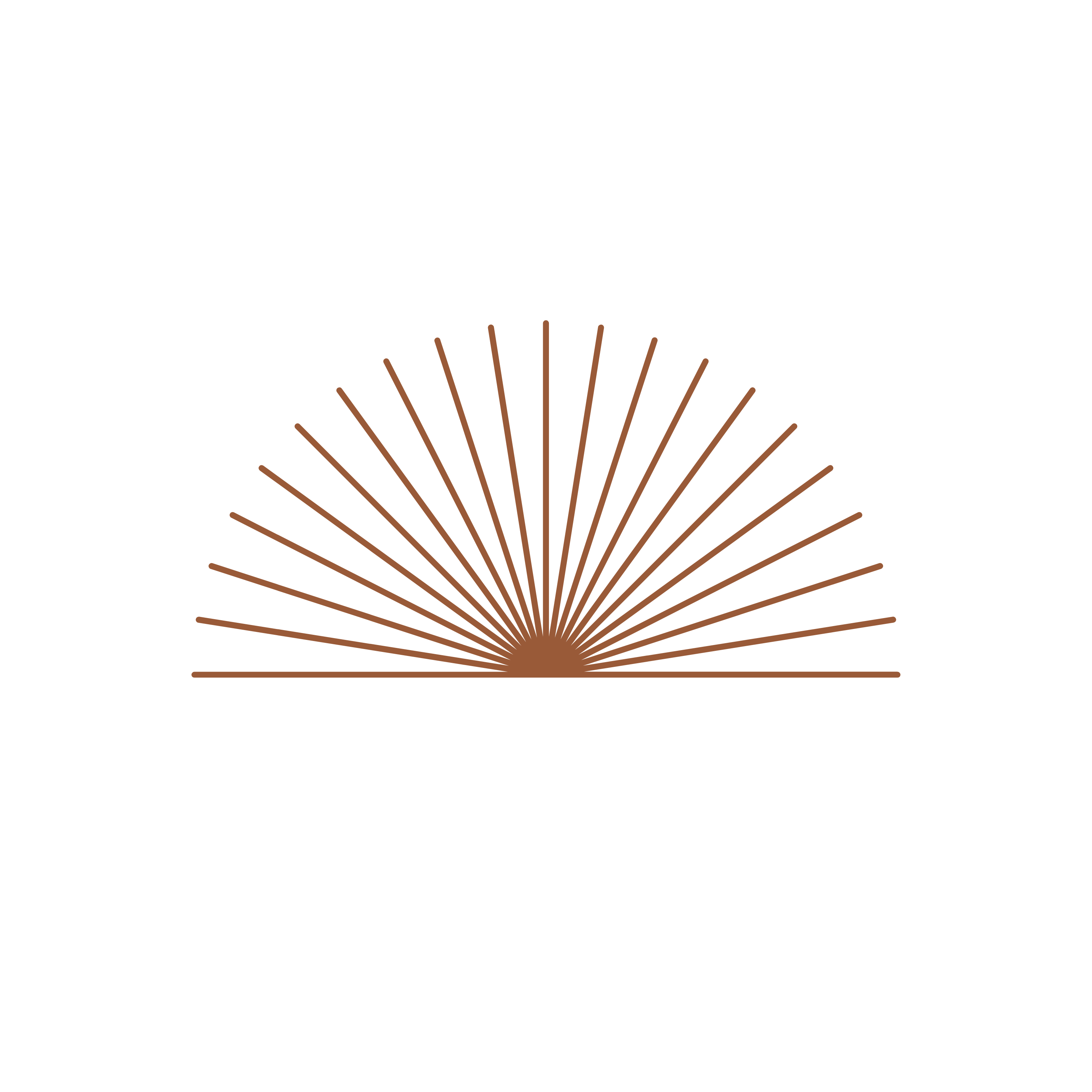 Extension Consult