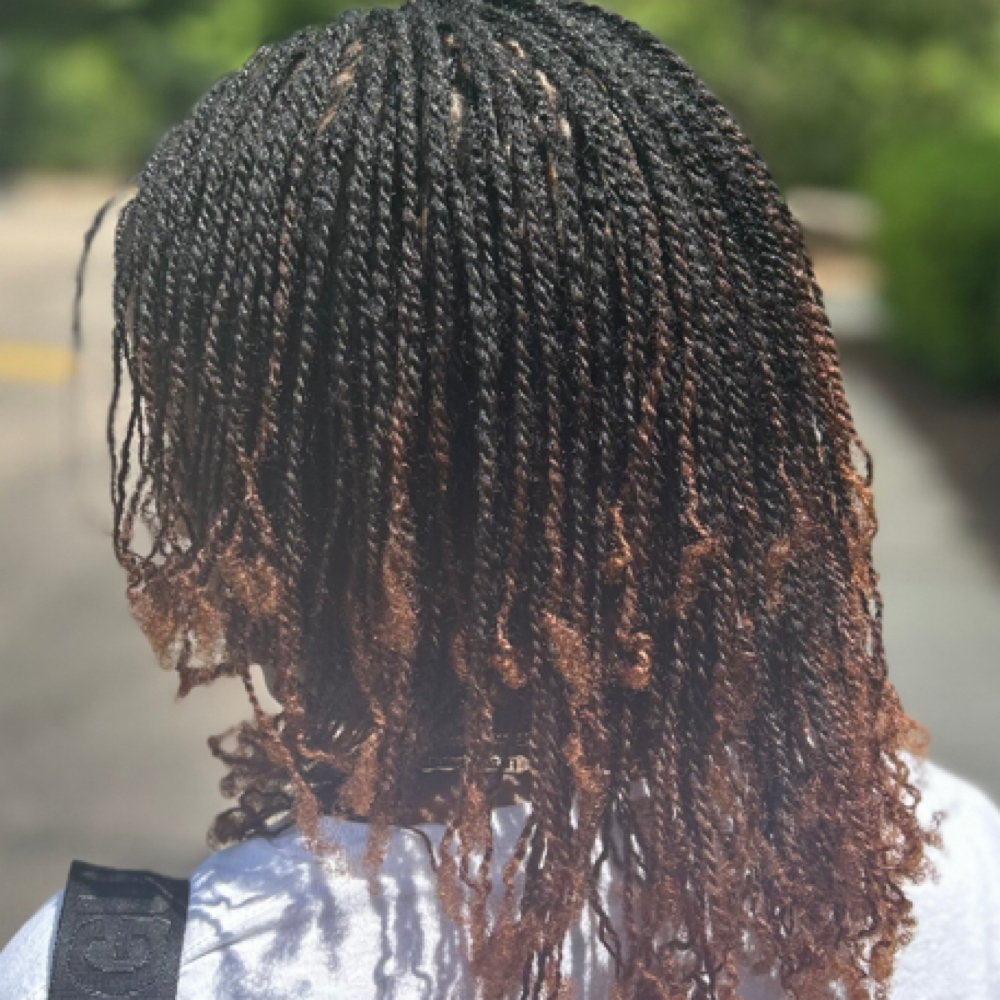 Mini Twists at Curl Conscious by Nique in Raleigh, NC