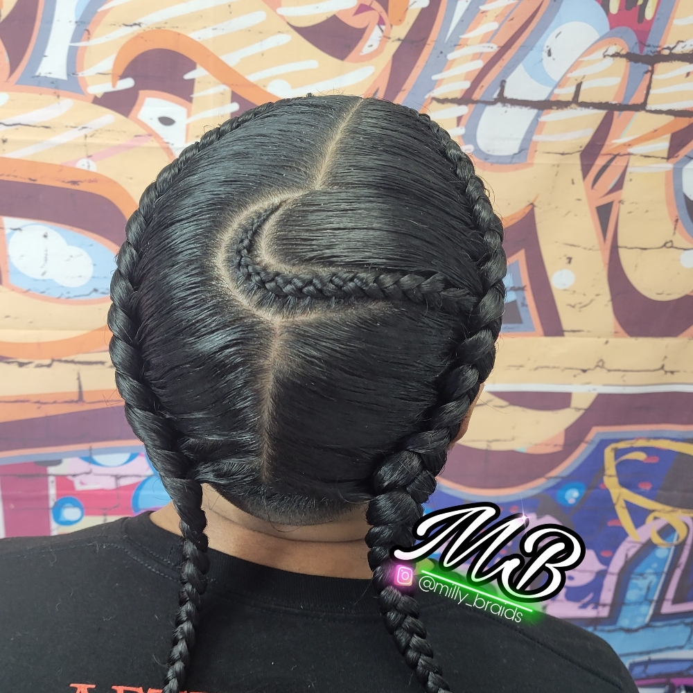 2 Braids All Hair