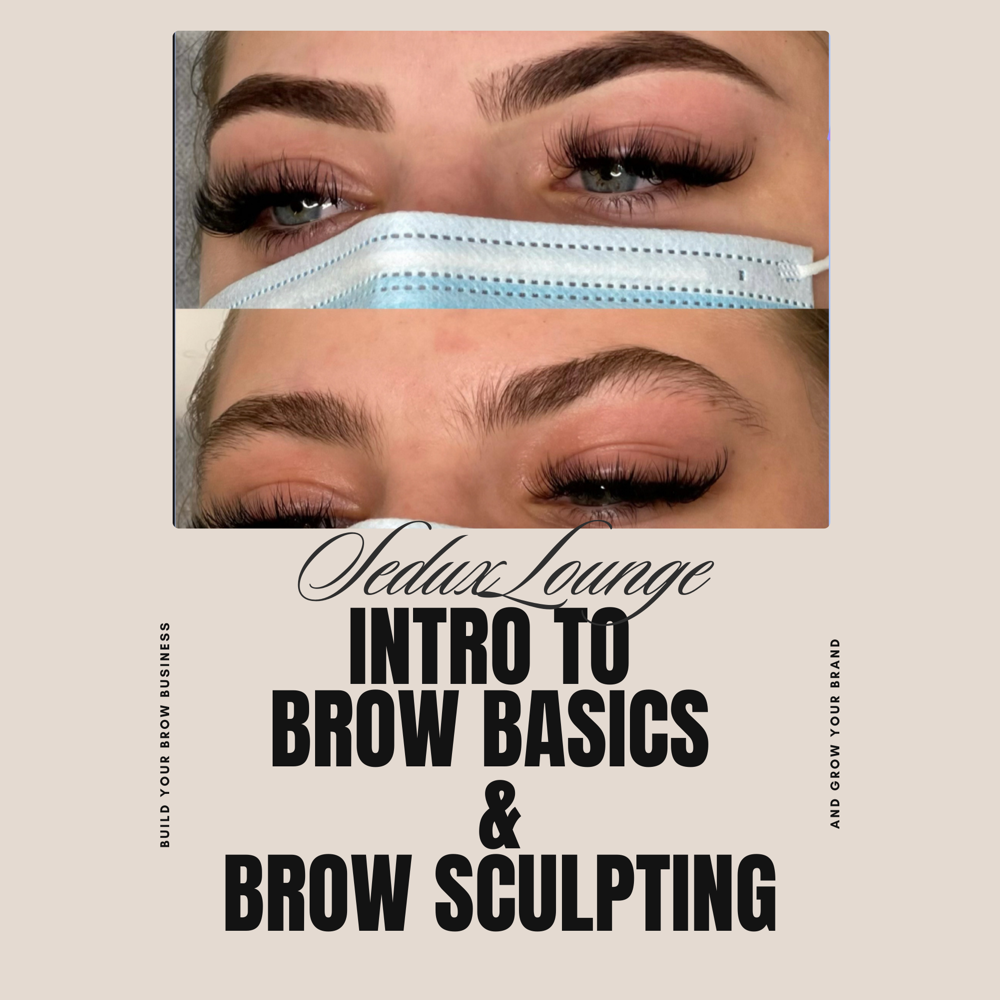 1:1 Intro To Brows Training