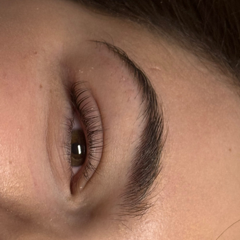 Lash Lift And Tint at Biond Beauty in Wellsburg, WV