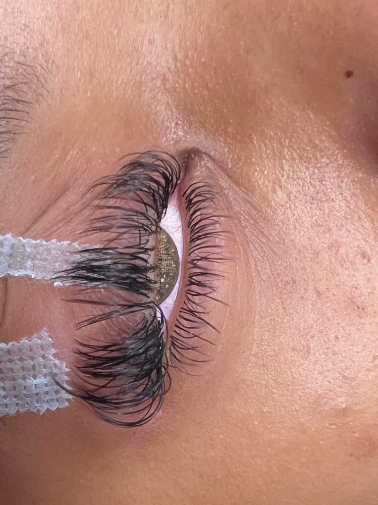 bottom lashes