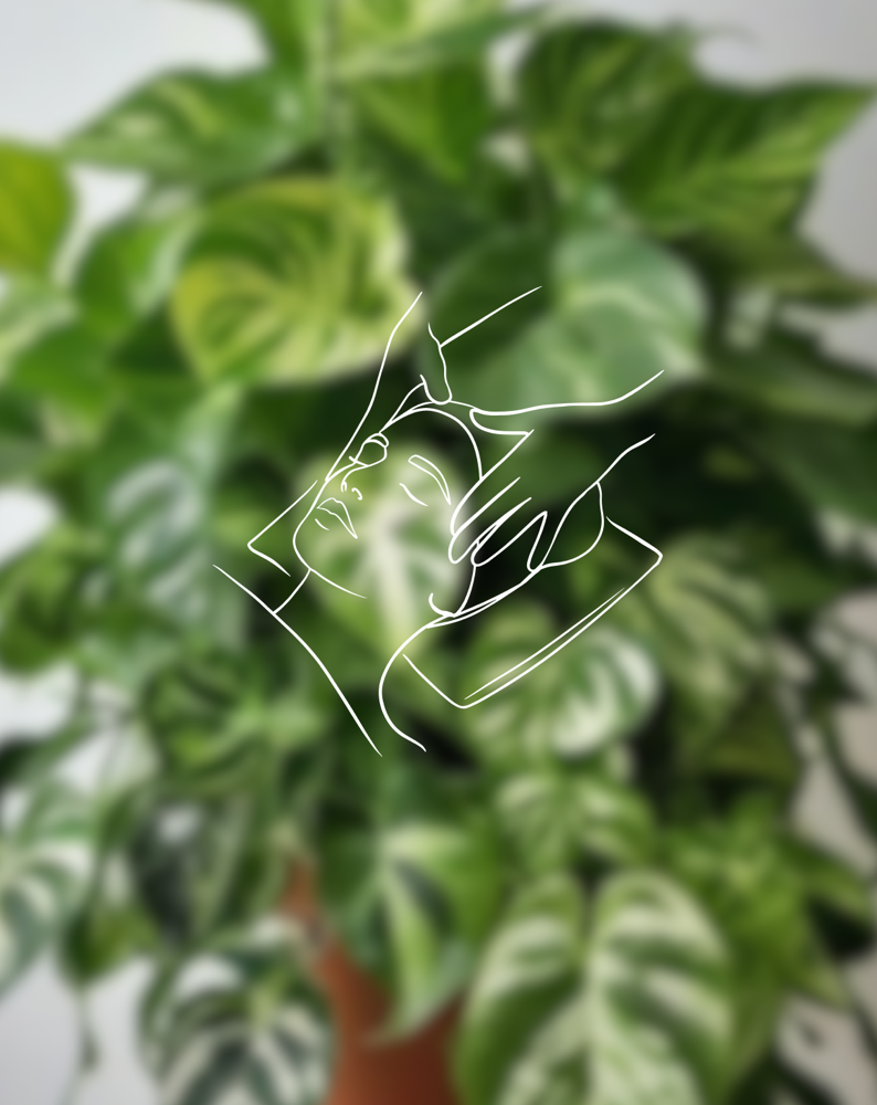 Evolve Signature Glow at Kay’s Evolve Esthetics in Slinger, WI