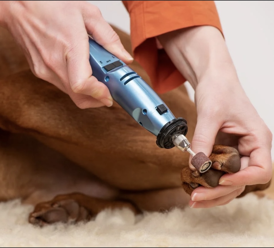 Nail Clip Or Grind Only