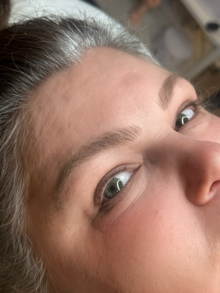 Microblading 6-8 Week Touch Up